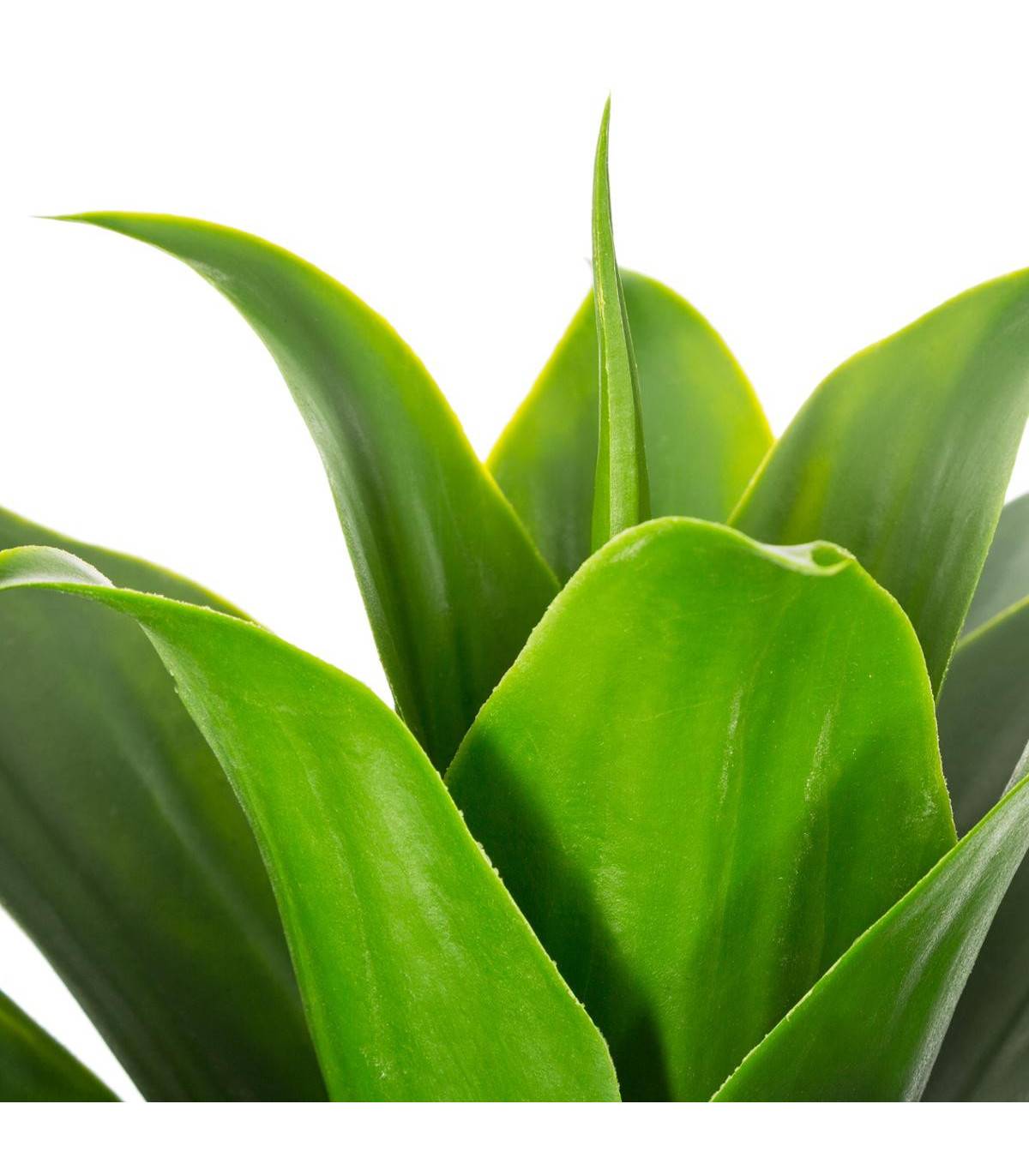 Plante artificielle Aloe vera en pot H 34 cm - Image 2