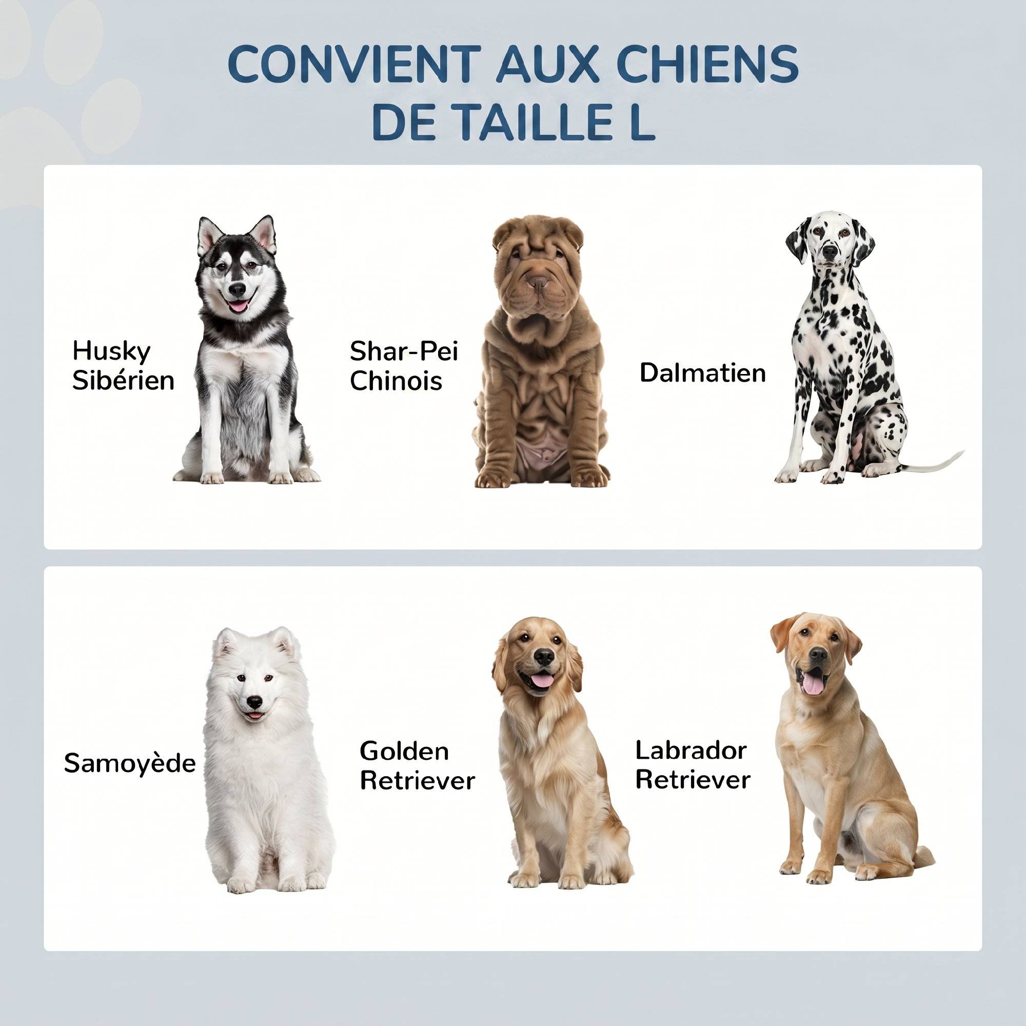 ComfortXL - Porte-gamelles surélevé pour grand chien en MDF marron café 60 x 30 x 36 cm avec 2 bols inox et tiroir - Image 4