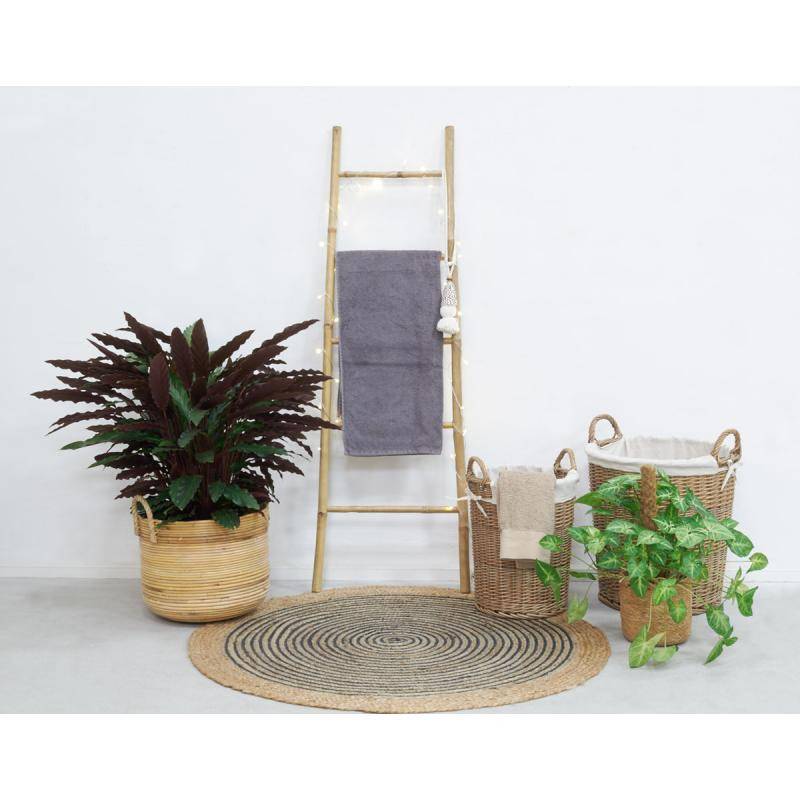 Aubry Gaspard - Cache-pot en poelet et corde Diam 29 cm - Aubry Gaspard - Imagen 2