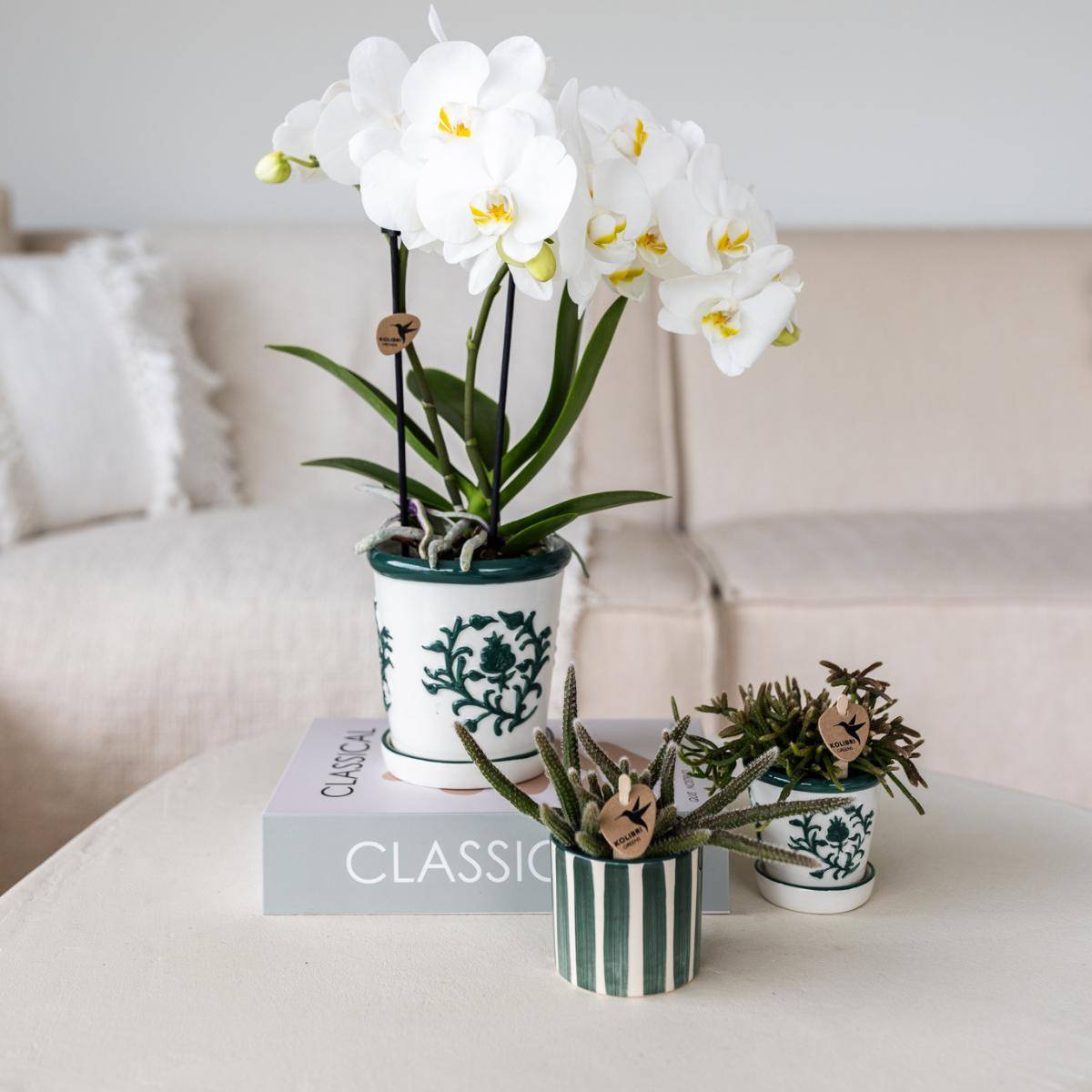 Pot décoratif Painted Stripe - Vert- La Green Touch - Imagen 3