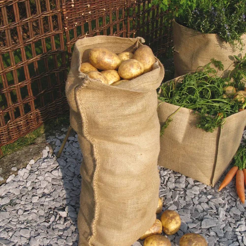 Autre - Sacs en Jute /  Sacs d'hivernage - Image 3