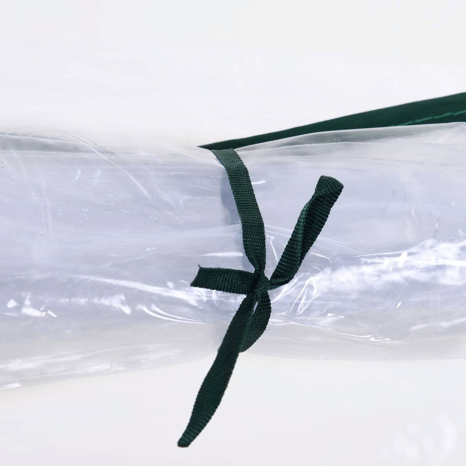 Mini serre tunnel Métal pour tomates et légumes Protection intempéries 250x100cm - ComfortXL Outdoor Living - Image 9