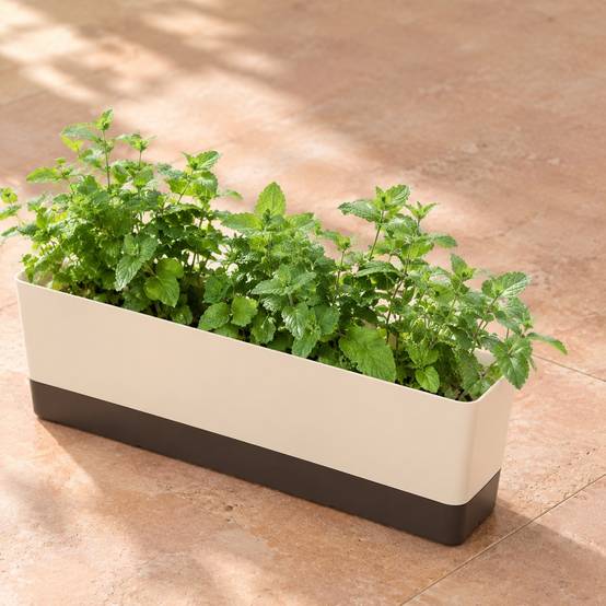 Lot de 3 Pots de Fleurs Rectangulaire Plastique Avec Plateau Drainage Etiquette Identification - Image 7