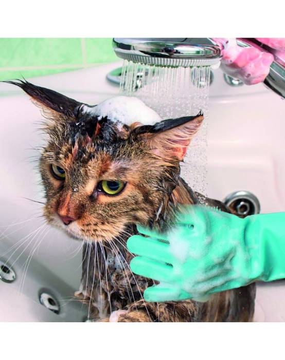 Autre - Gant de toilettage pour animaux en silicone | Vert | Adulte | Nettoie et brosse sans douleur- VENTEO - Image 4