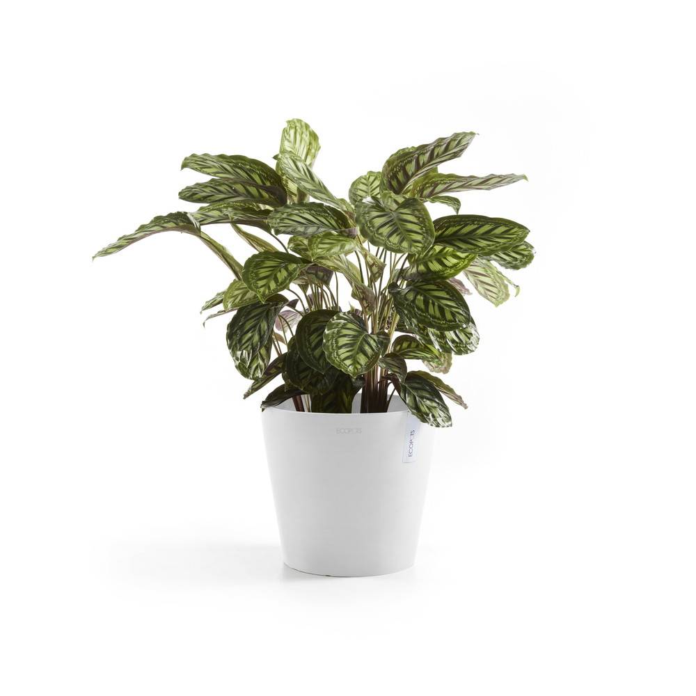 Ecopots - Pot Rond Amsterdam 25 Blanc Pur - Ø 25,4 x H. 24,5 cm - 9,7 L ECOPOTS - Imagen 4