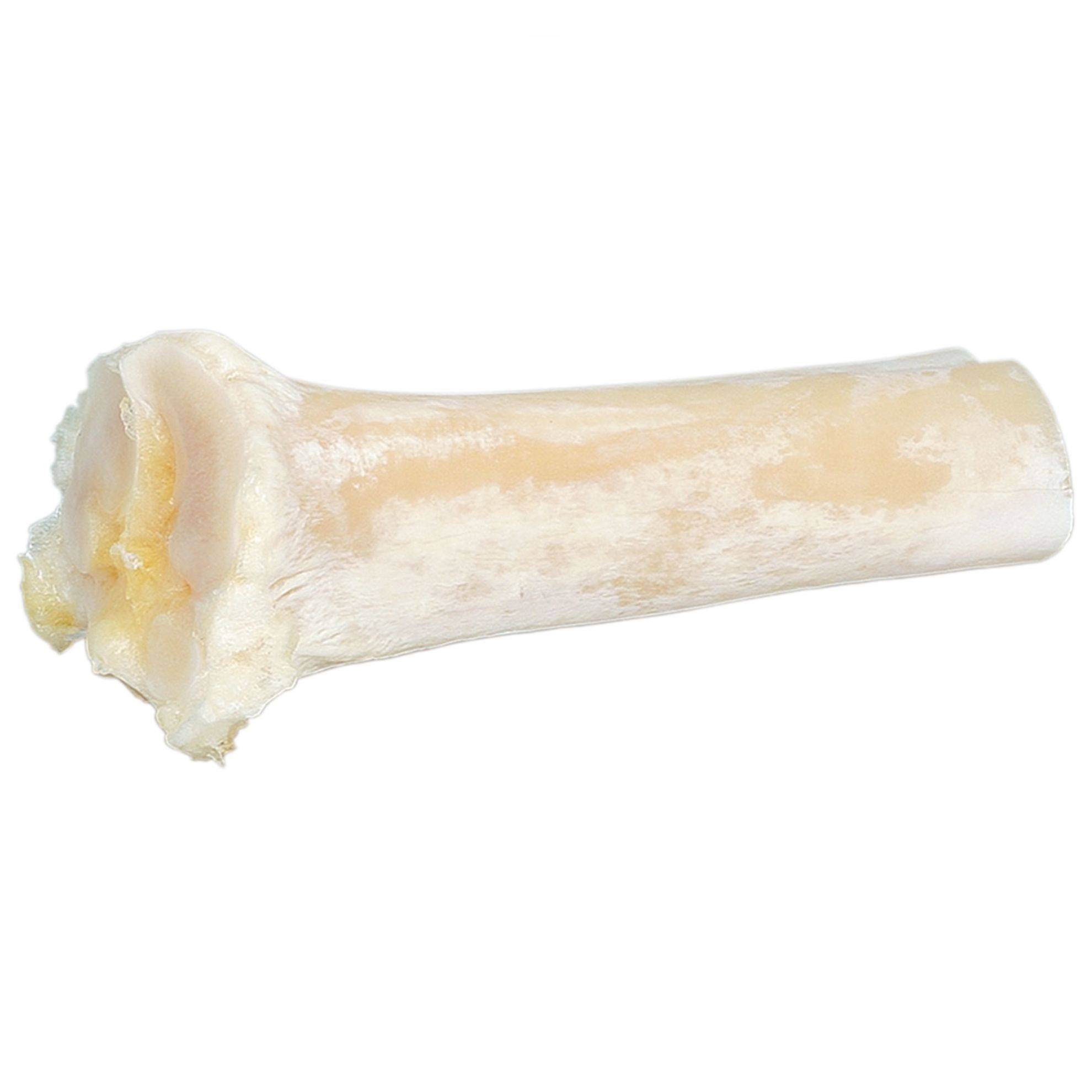 Os au calcium pour chien DOOGY
