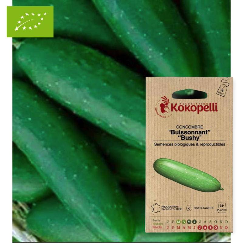 Concombre Buissonnant Bushy- Graines bio à semer - Imagen 1