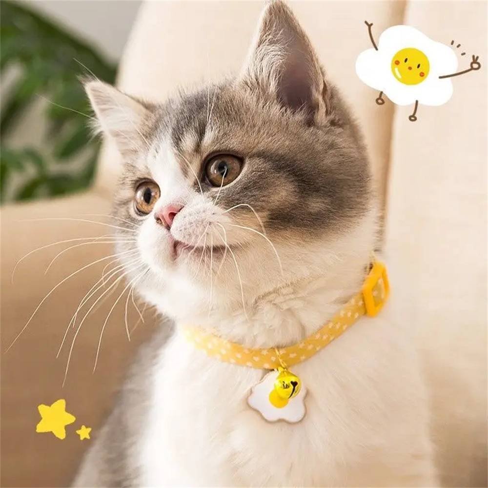 DtopbuyAge - Collier Réglable avec Clochette pour Chaton DtopbuyAge - Image 2