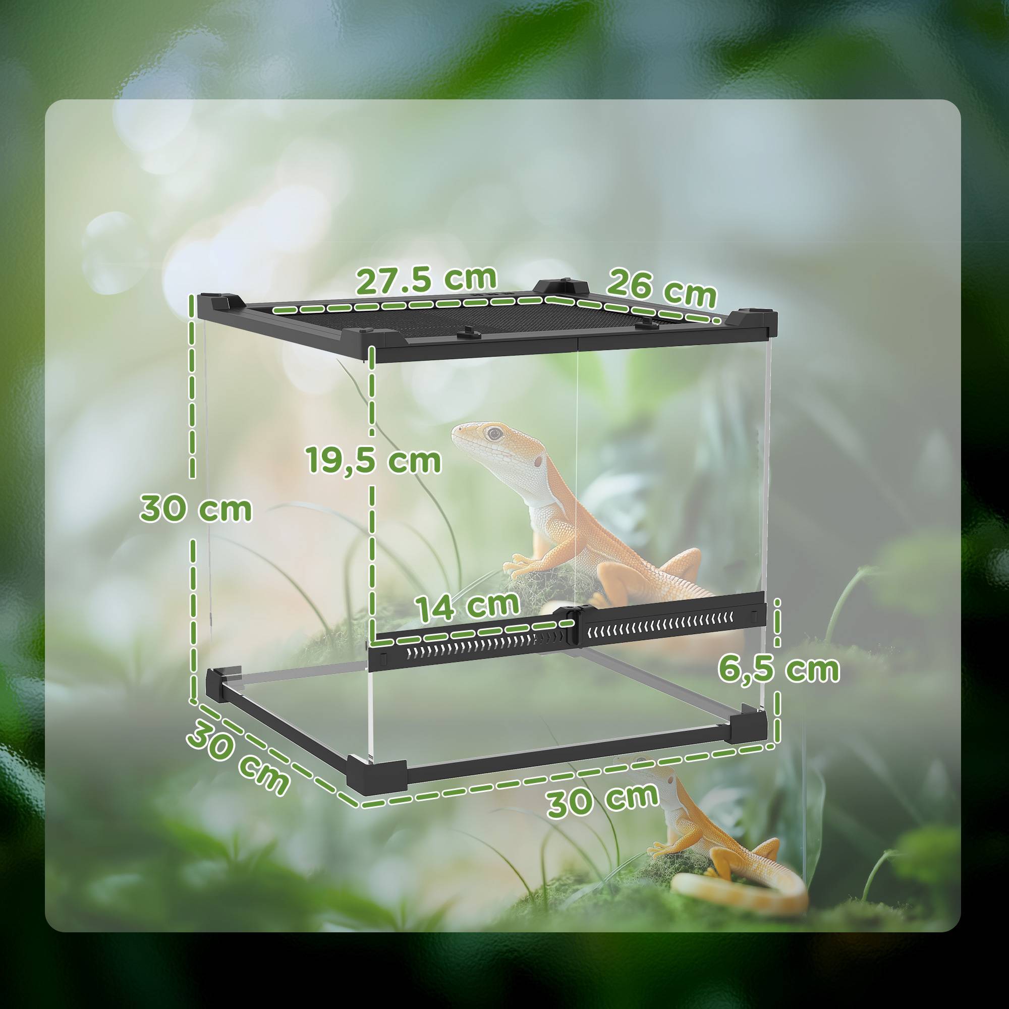 Terrarium en verre pour reptiles, fond surélevé étanche, fermeture à bouton - Image 5