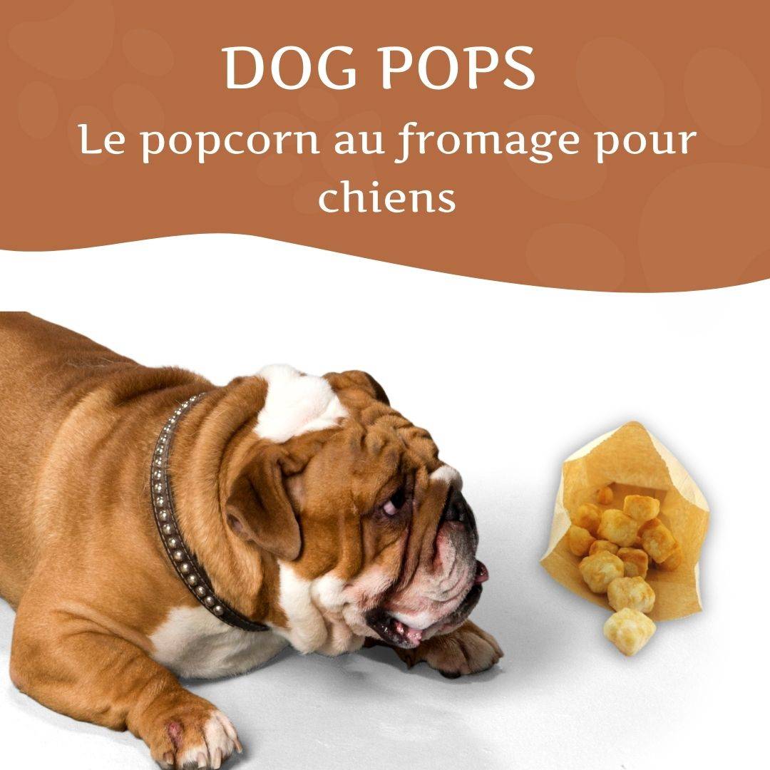 Wildfang - Wildfang - Dog Pops - pop-corn au fromage pour chiens - Image 2