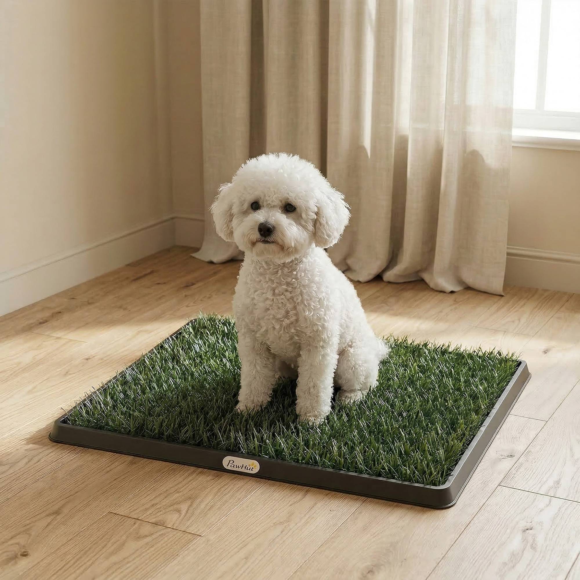 ComfortXL - Toilette pour chien en PP et PE 63 x 50,5 cm bac noir pour maison et balcon avec gazon synthétique drainant - Image 1