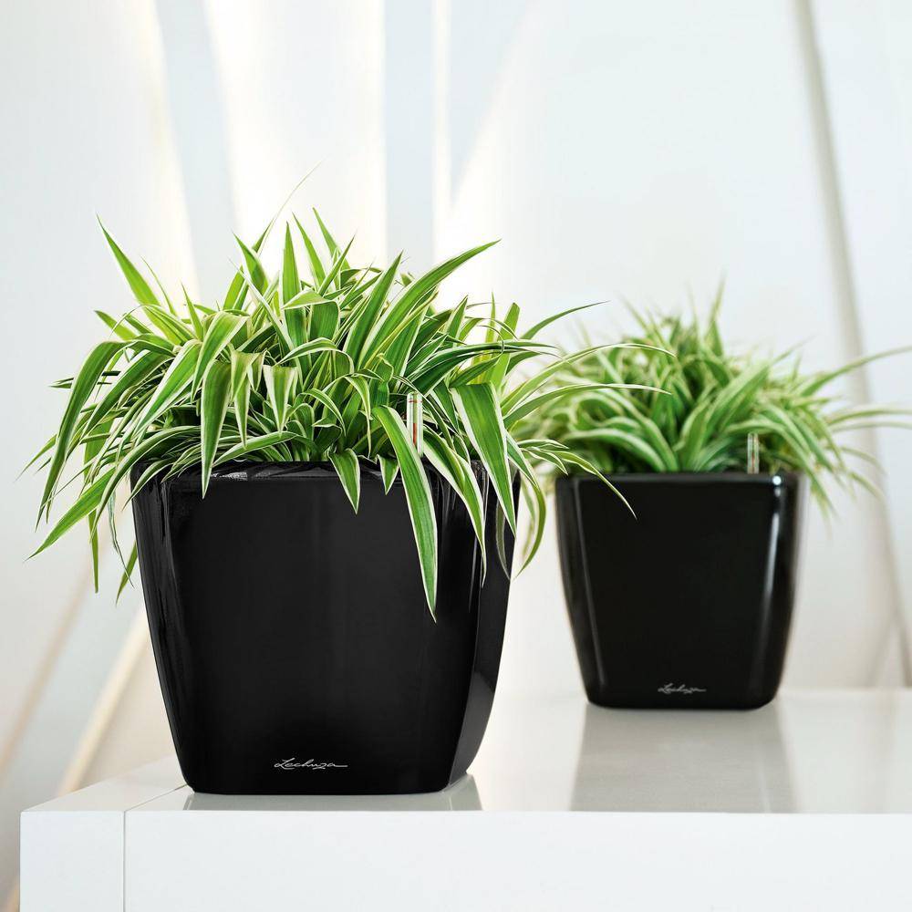 Lechuza - Pot Quadro Premium LS 21 - kit complet, noir brillant 21 cm Lechuza - Imagen 3
