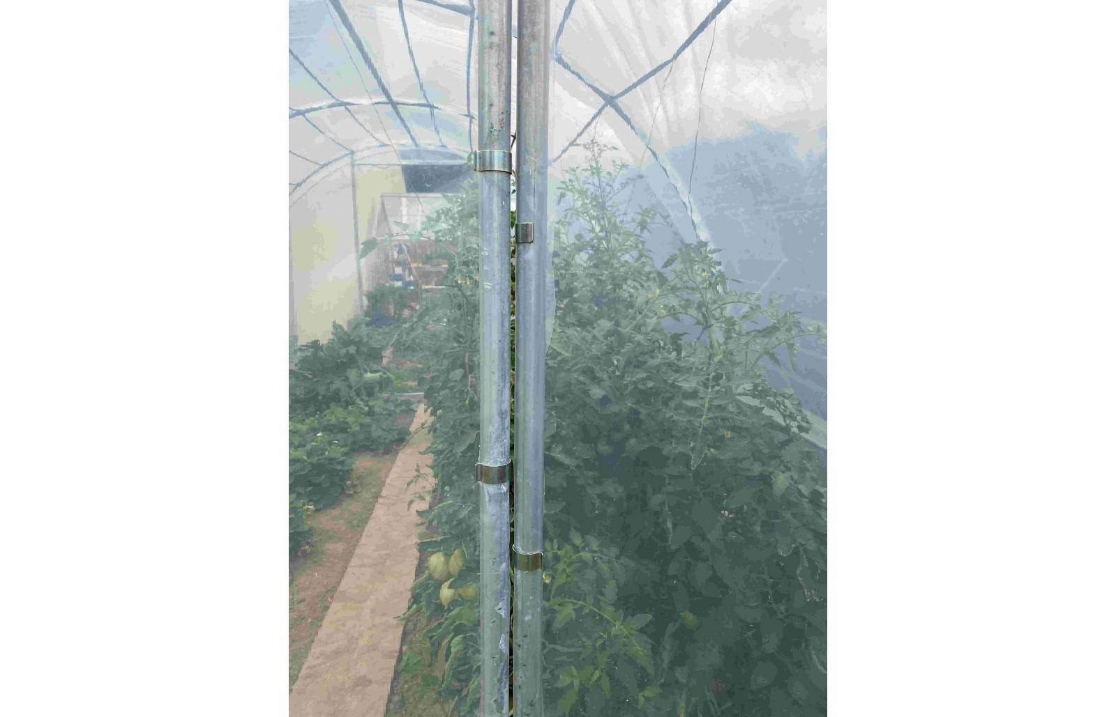 Serre tunnel de jardin - 24m² - 3 x 8 m - pieds arrondis - polyéthylène haute densité - 2 portes pivotantes - LES SERRES TONNEAU - Image 4