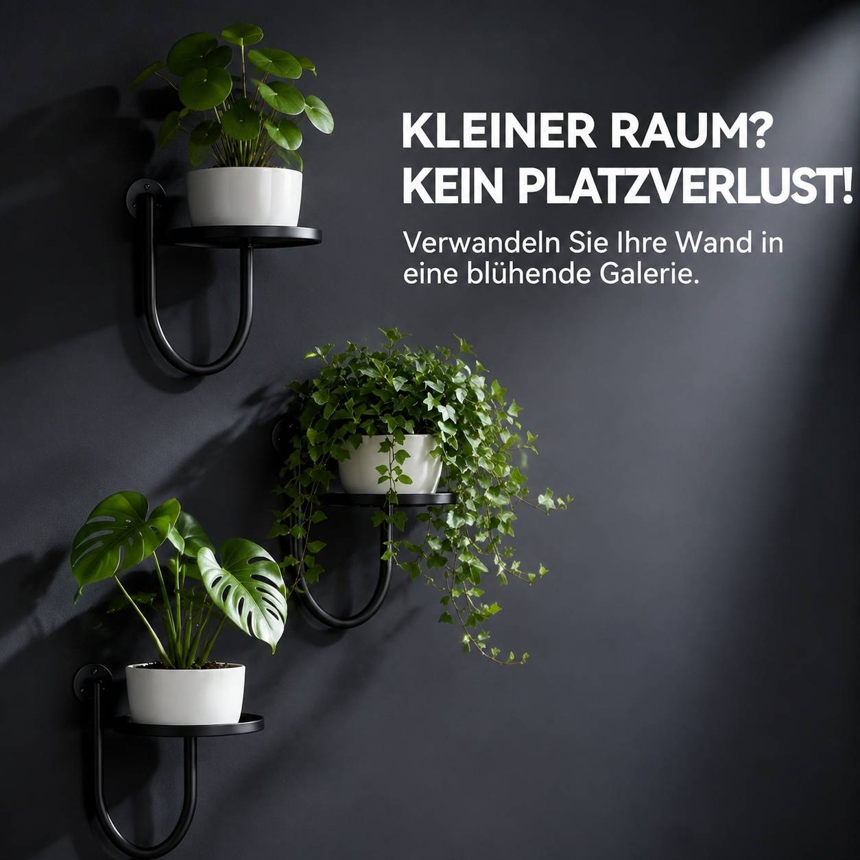 Lot de 3 Supports Muraux Métal Noir Pour Plantes Décoration Intérieure Extérieure - Image 6