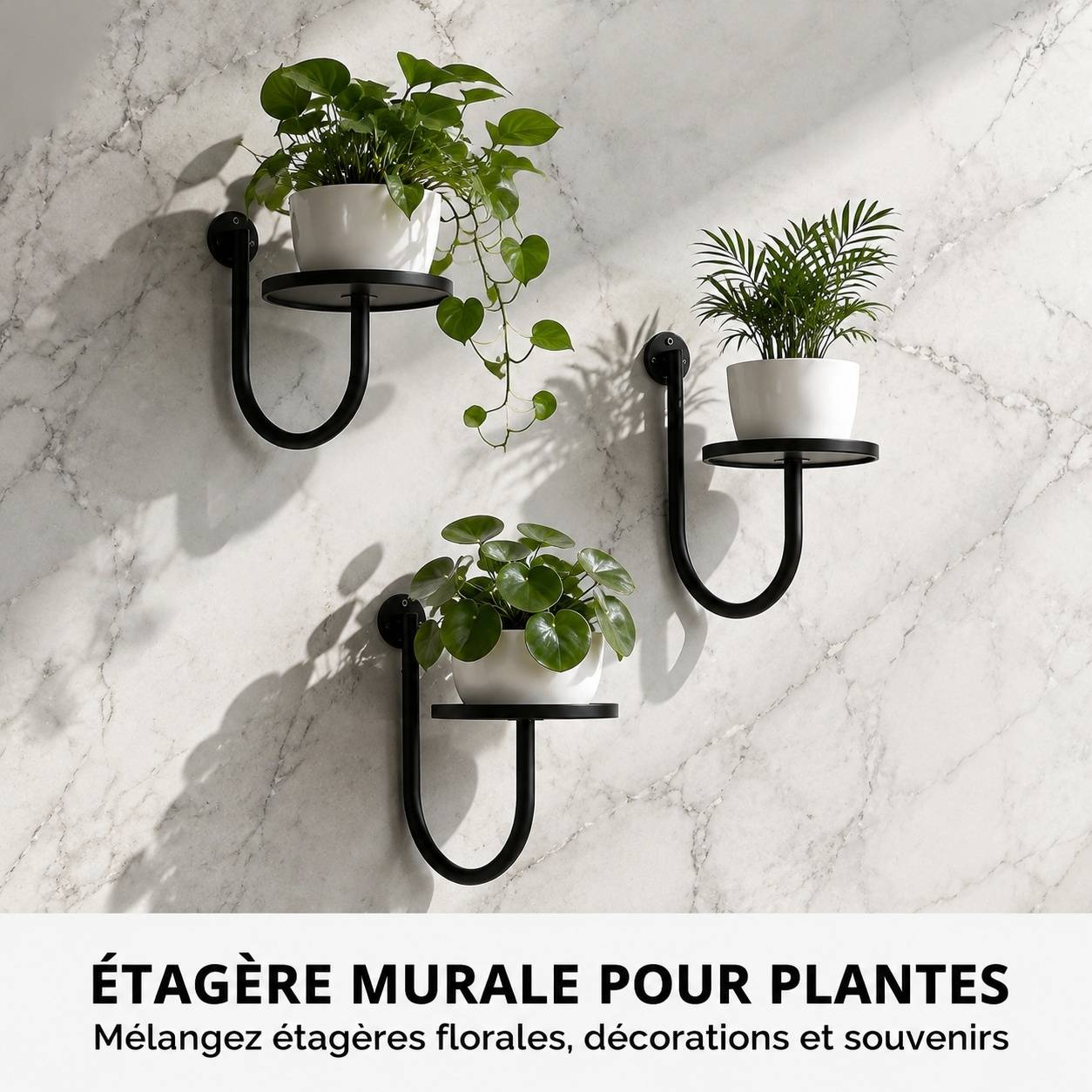 Lot de 3 Supports Muraux Métal Noir Pour Plantes Décoration Intérieure Extérieure - Image 4