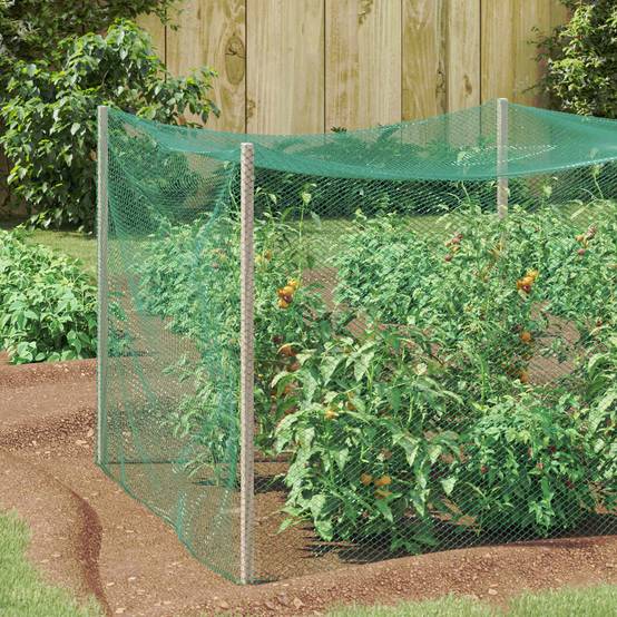 Filet Anti-oiseaux Large Polyéthylène pour Verger Protection Récoltes Vert 4 x 5 m - ComfortXL Outdoor Living - Image 1