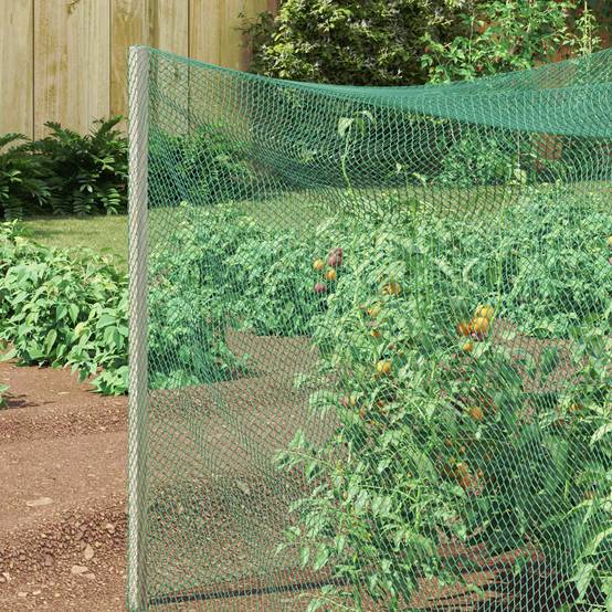 Filet Anti-oiseaux Large Polyéthylène pour Verger Protection Récoltes Vert 4 x 5 m - ComfortXL Outdoor Living - Image 3