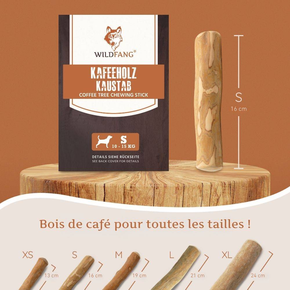Wildfang - Pack chiot « Bienvenue Compagnon » - pour petits chiens jusqu'à 10 kg - Image 4
