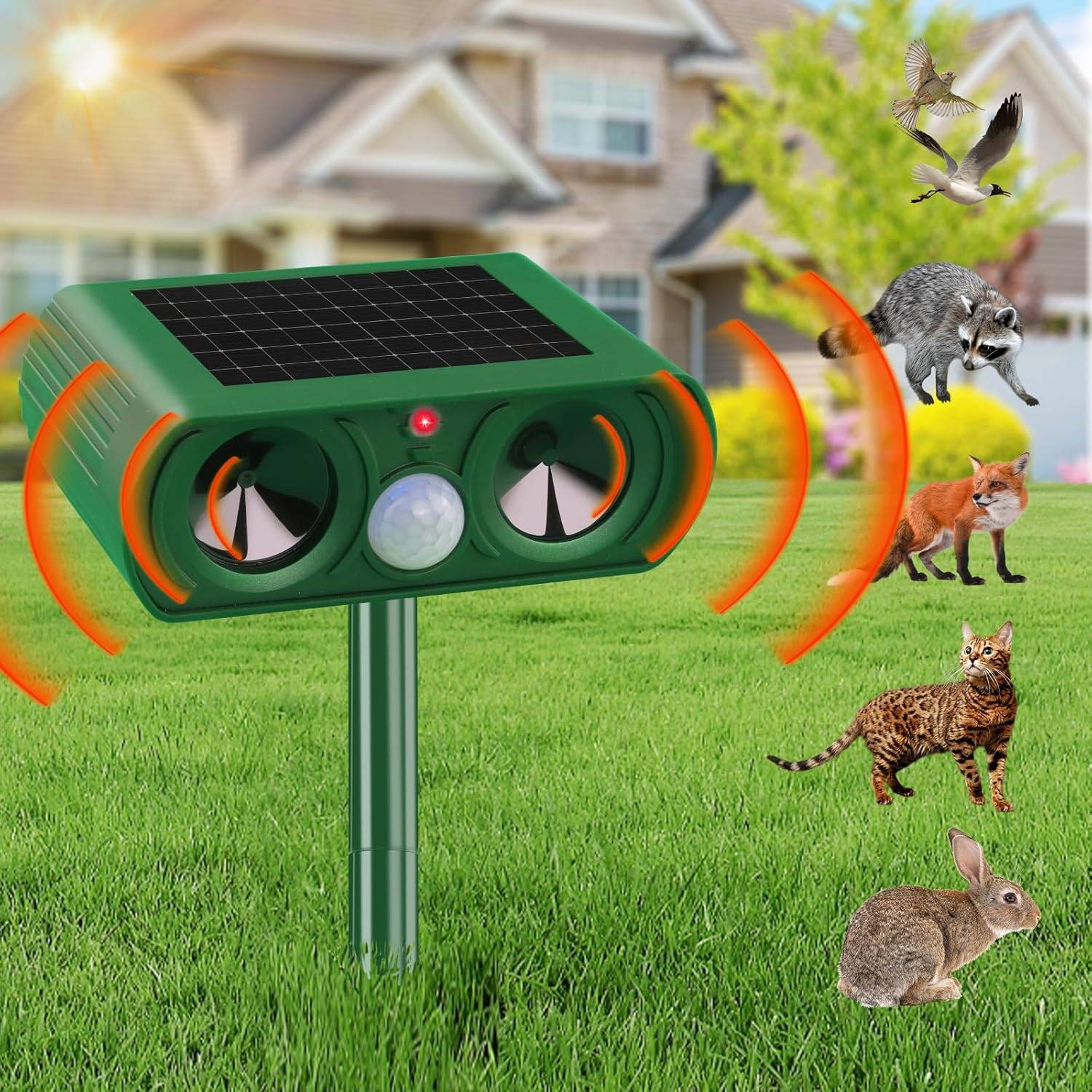 Anti chat et nuisible solaire à ultrasons, Repousse efficacement Les Chats, Oiseaux, Renards, ratons laveurs, Lapins et rongeurs - IntiMeg - Image 1