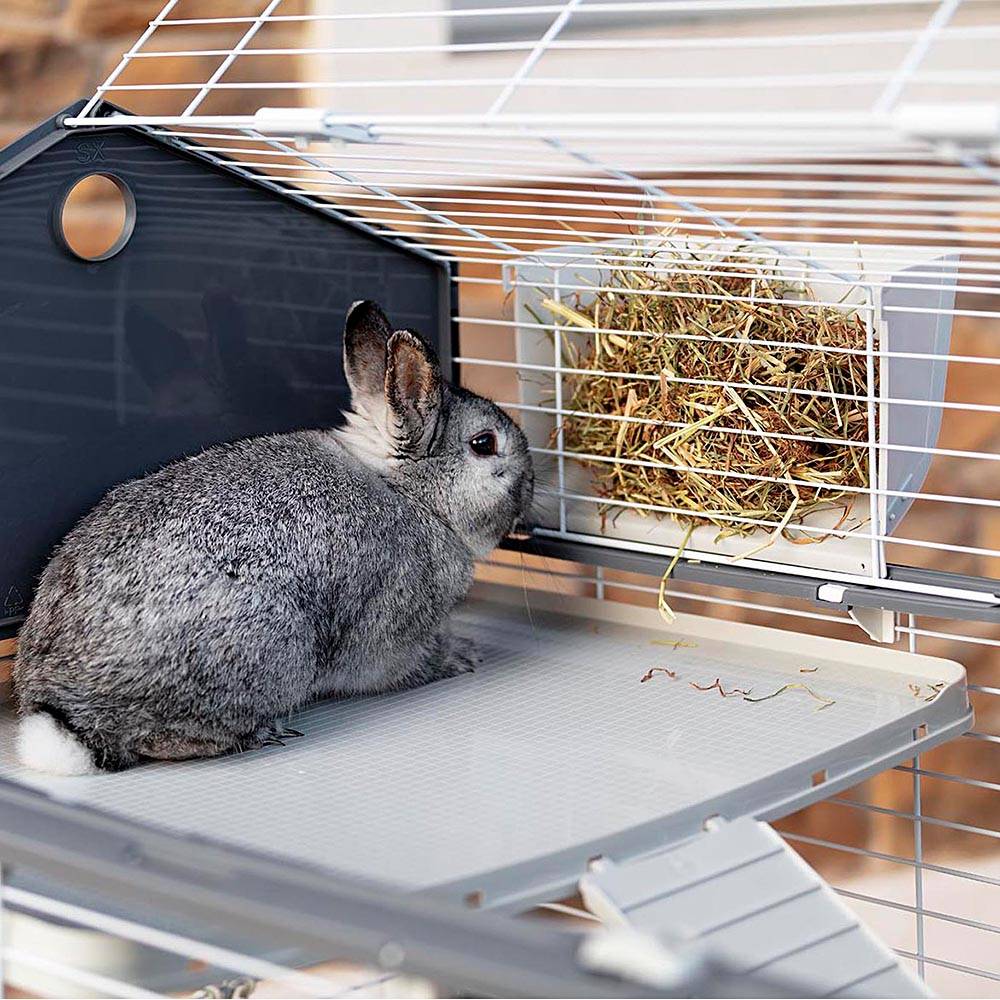 Ferplast - Cage pour Lapins et Petits Animaux BARN 100 DOUBLE, 3 étages, Toit Ouvrant, Accessoires et Adhésifs inclus - Imagen 6
