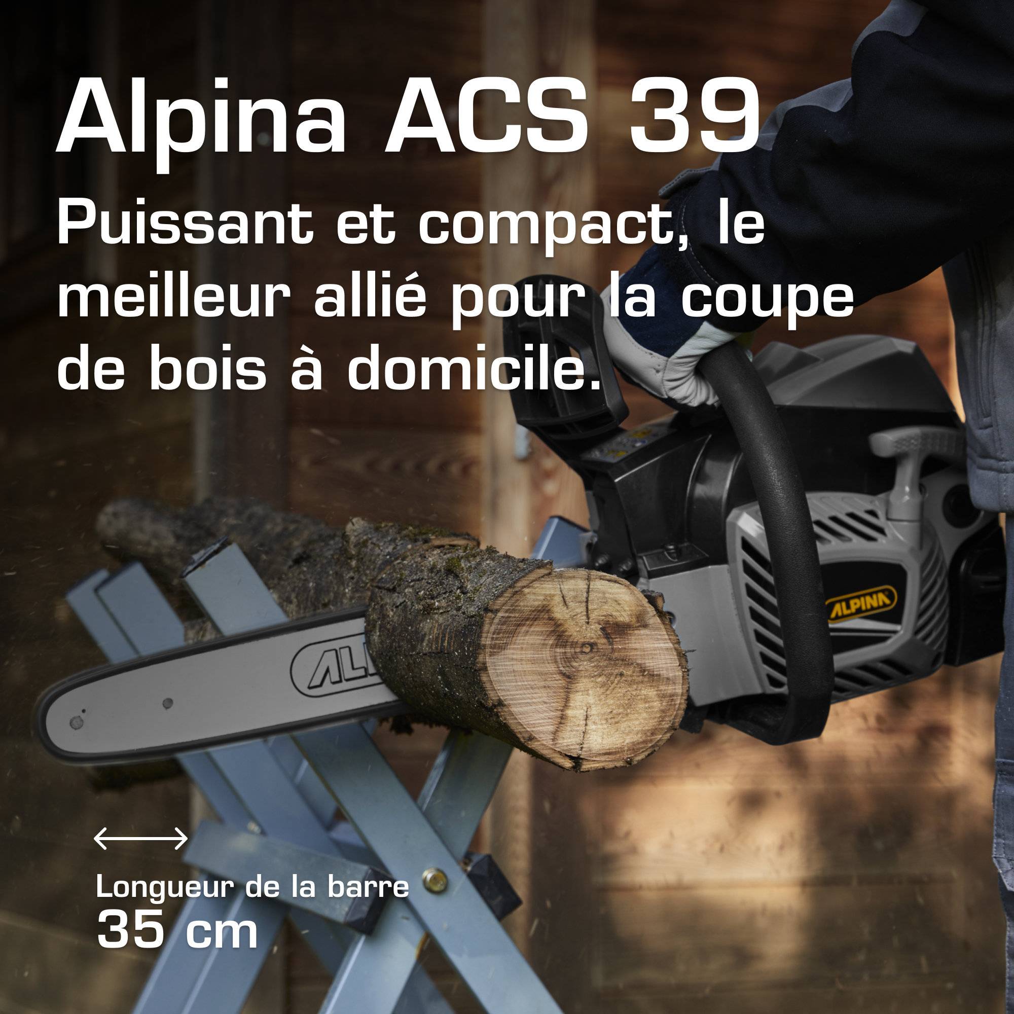 Alpina - ACS 39 (14')-Alpina - Image 2