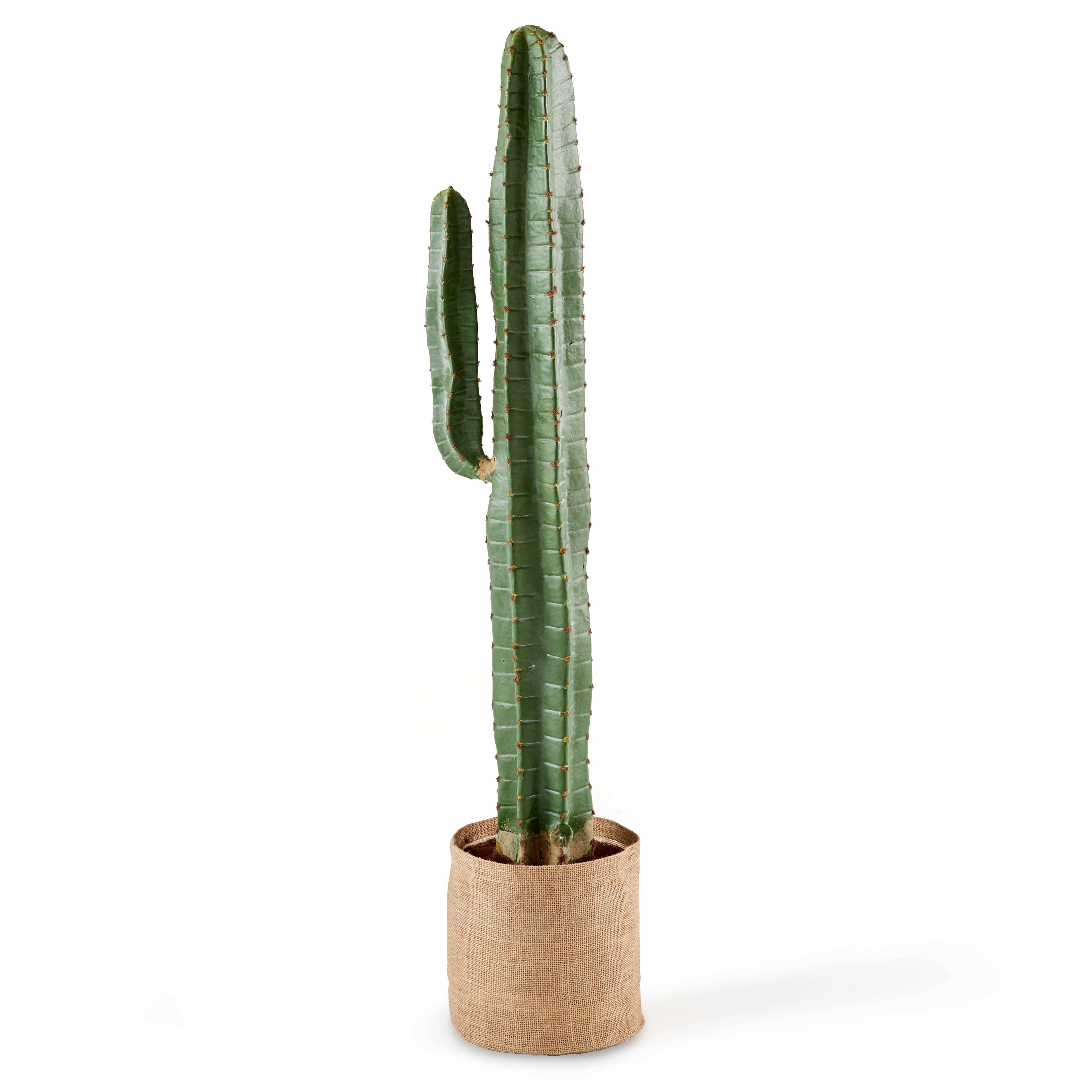 Oviala - Plante artificielle en pvc cactus  - Oviala - Imagen 1