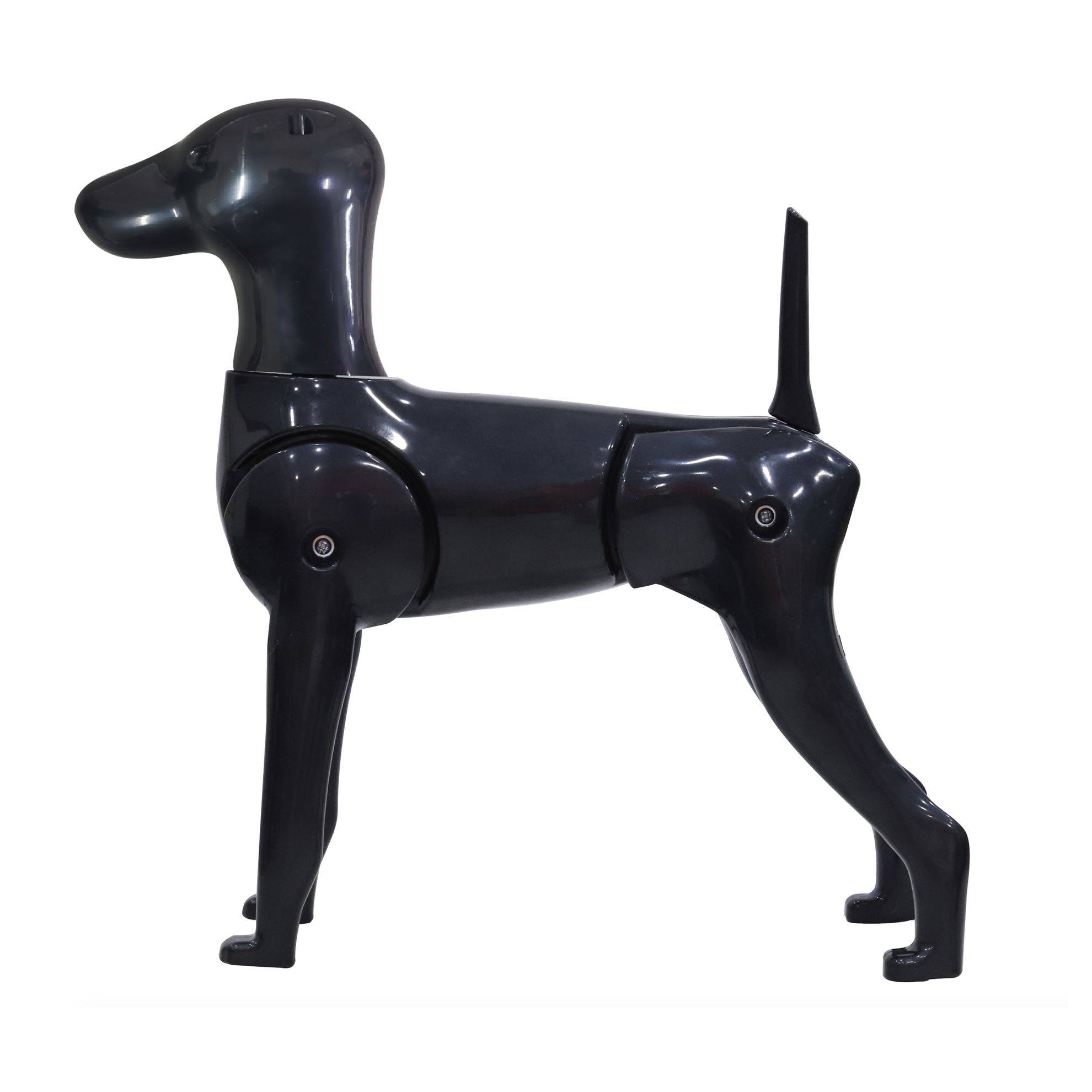 Mannequin chien avec 3 têtes interchangeables KISSGROOMING