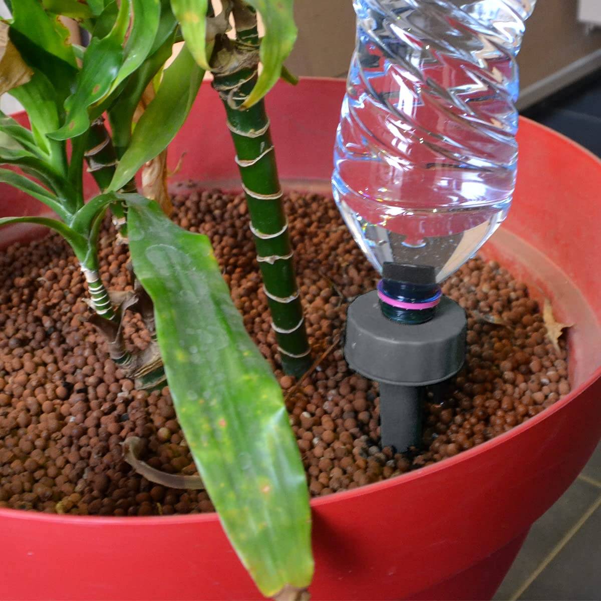Jardibric - Jardibric - Goteador Autónomo Ajustable en Pica para Botellas - Riego Preciso y Ecológico para Sus Plantas con Botellas Recicladas. - Imagen 2