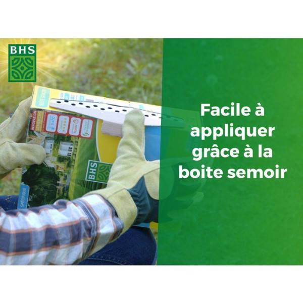 BHS - Mélange de fleurs pour abeilles - BHS - 230 g - 26 variétés de fleurs annuelles - Image 4