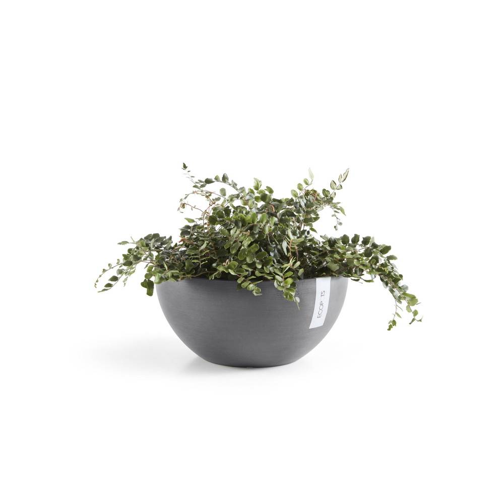 Ecopots - Pot Rond Brussels 35 Gris - Ø 35 x H. 16,5 cm - 11,5 L ECOPOTS - Imagen 1