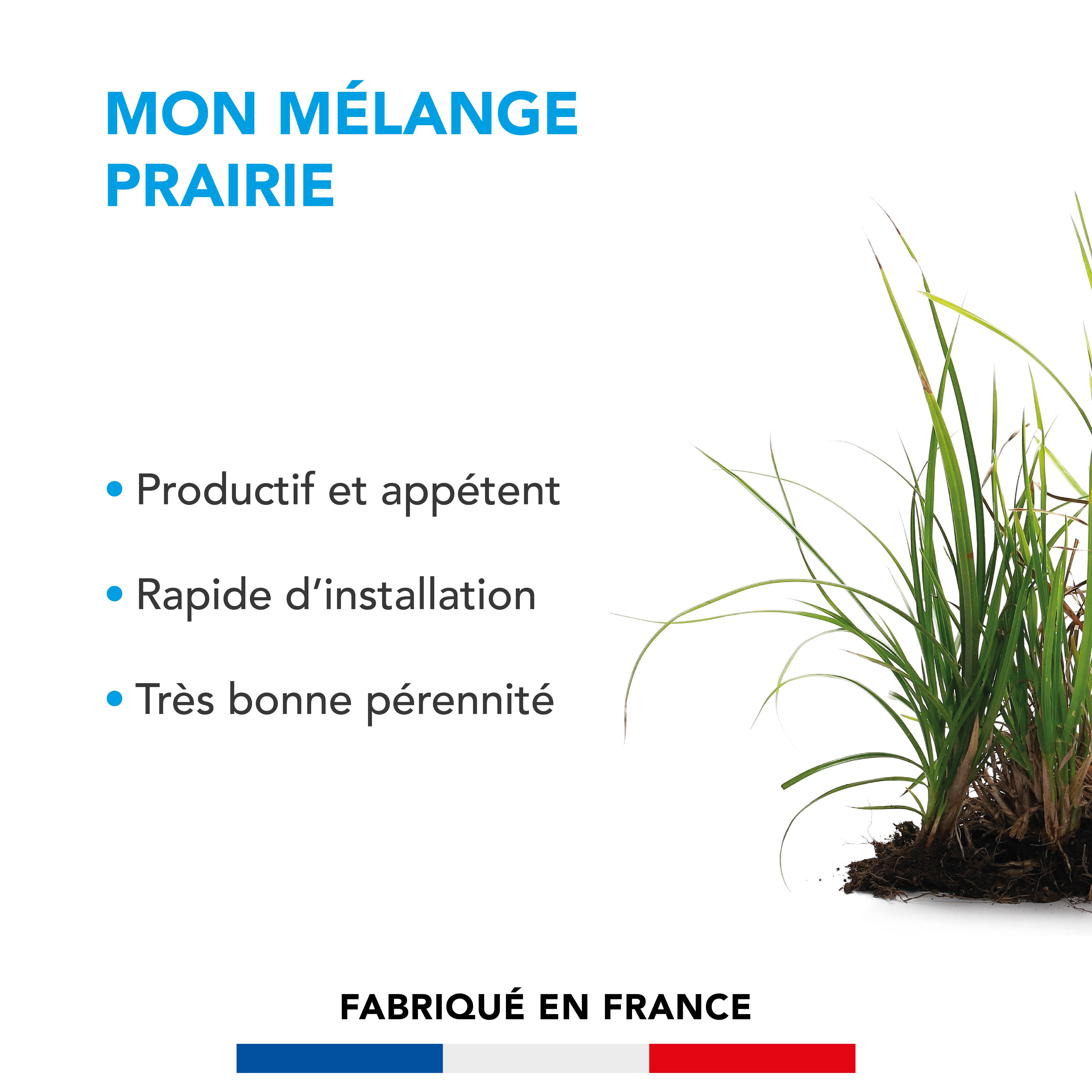 Mélange Prairie - Productif et Appétent - Rapide d'Installation - Très Bonne Pérennité - Production Alimentation pour Animaux - 5KG - BARENBRUG - Image 2
