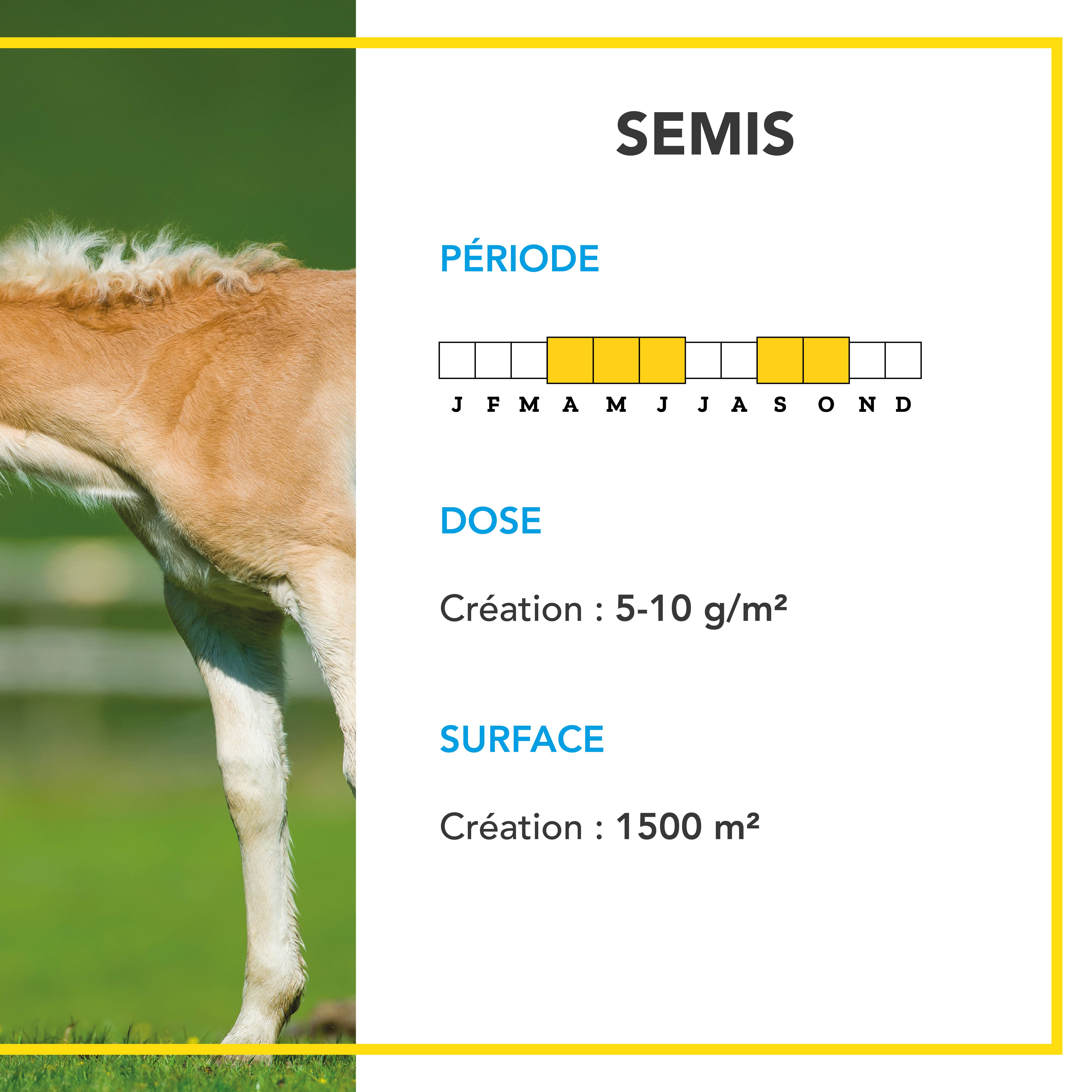 Mélange Prairie - Productif et Appétent - Rapide d'Installation - Très Bonne Pérennité - Production Alimentation pour Animaux - 5KG - BARENBRUG - Image 4