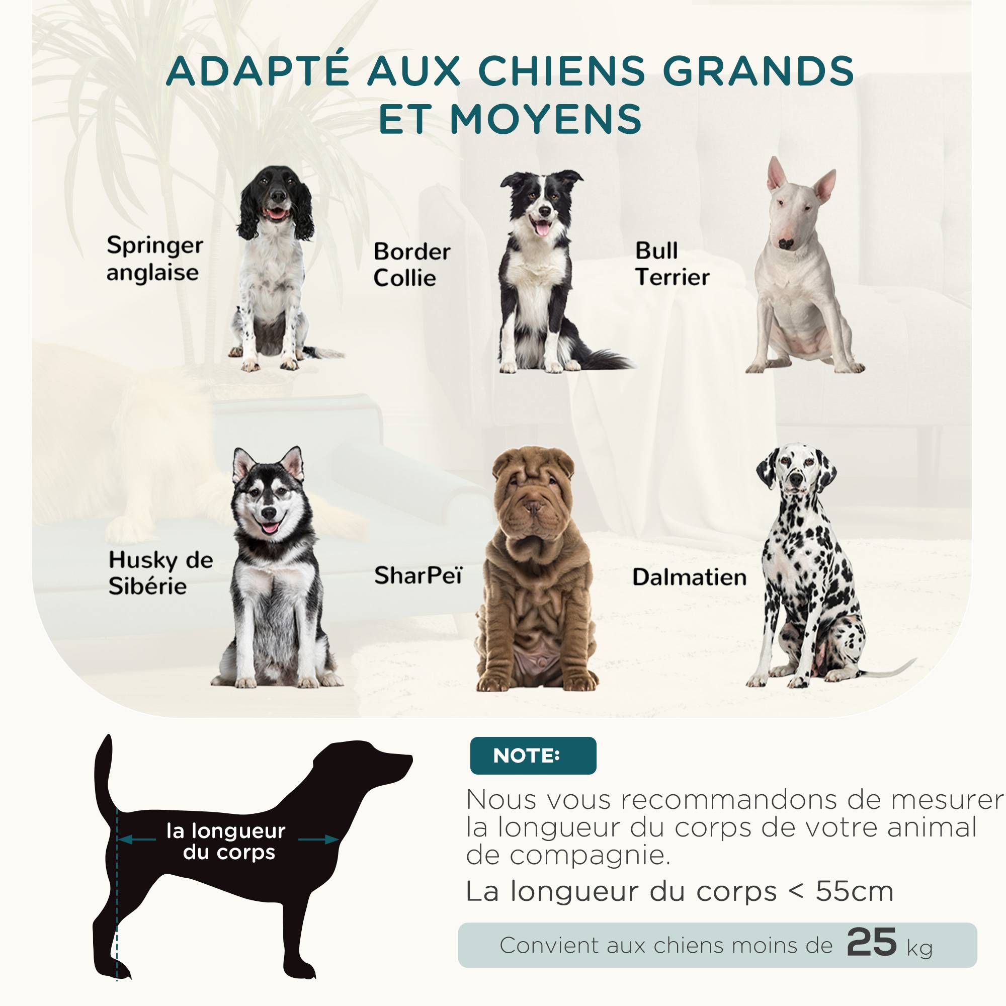 Canapé pour chien chat design scandinave coussin moelleux amovible pieds bois massif 100 x 62 x 32 cm bleu canard - Image 6