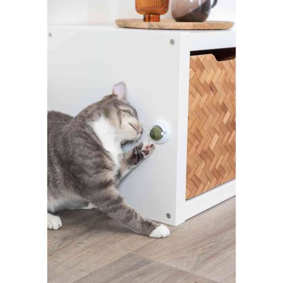 Trixie - Boule d'herbe à chat avec support - Image 8