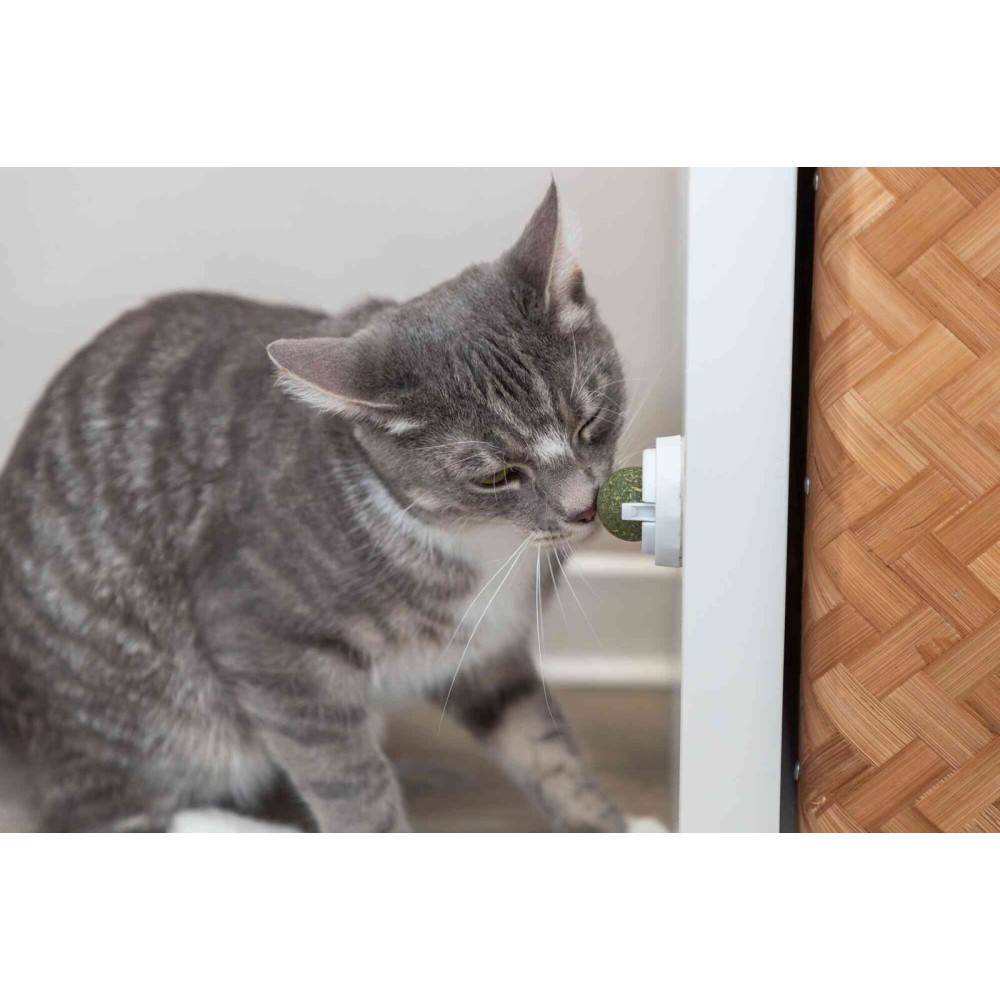Trixie - Boule d'herbe à chat avec support - Imagen 9