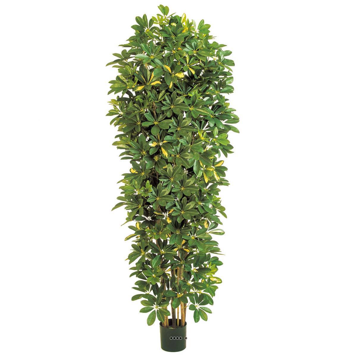 Artificielles - Schefflera artificiel en colonne en pot H 195 cm vert-jaune
