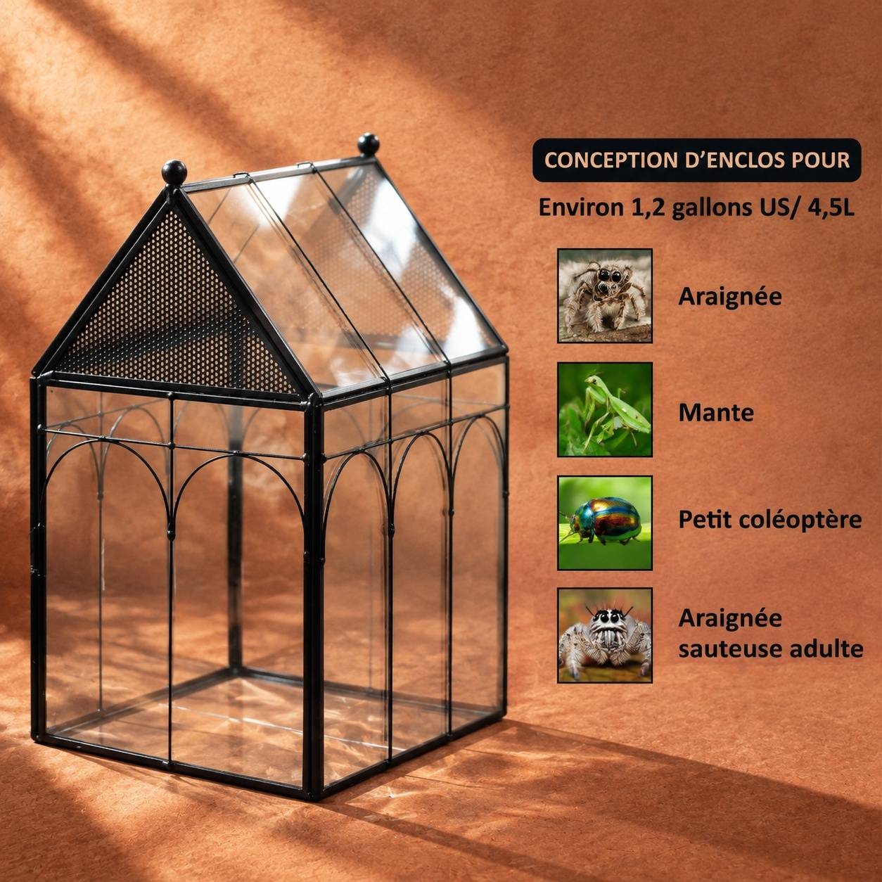 Terrarium Géométrique En Verre Et Métal Ventilé Pour Plantes Et Décoration Intérieure - Image 2