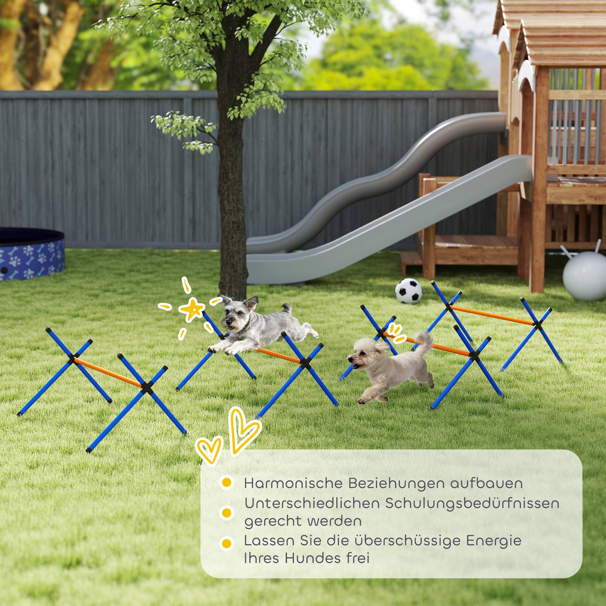 Kit d'agilité plastique multicolore 87 x 56 x 41 cm - PANGIVO - Image 9