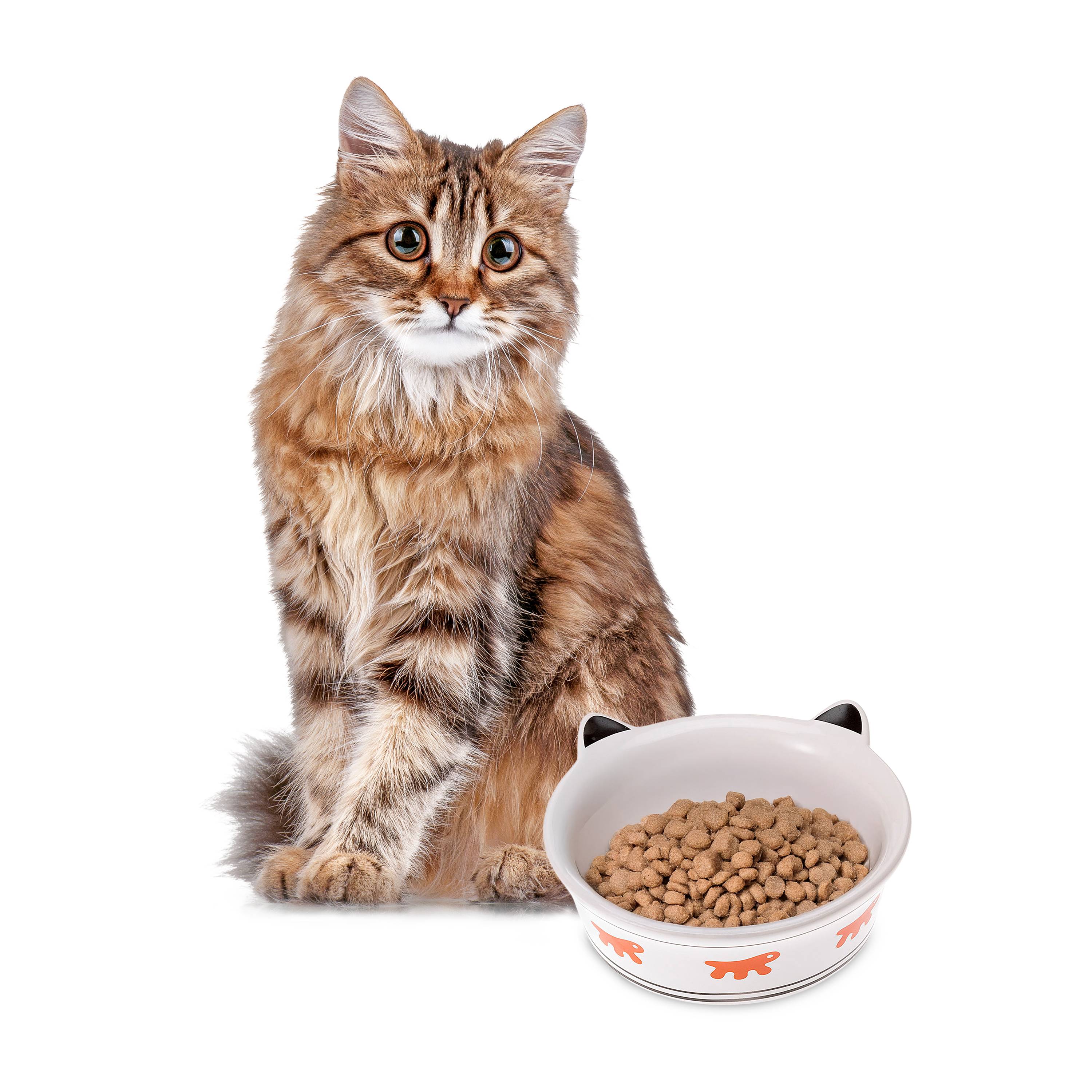 Ferplast - Gamelle céramique chats chat eau nourriture antidérapante Ferplast VENERE trois tailles - Imagen 4