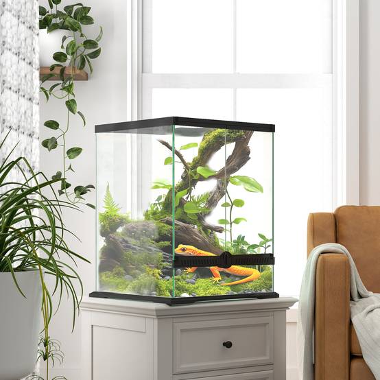 Terrarium en verre noir 45 x 45 x 60 cm - PANGIVO - Image 4