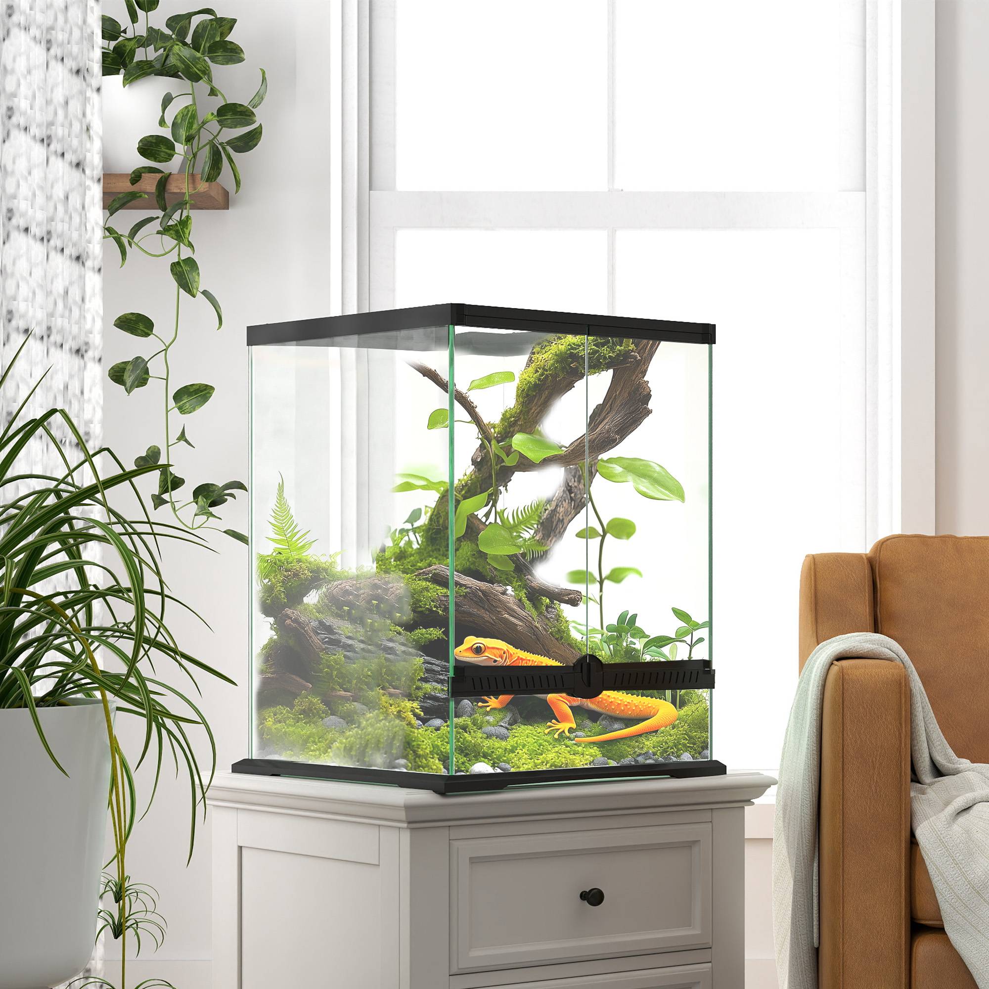 Terrarium en verre noir 45 x 45 x 60 cm - PANGIVO - Image 4