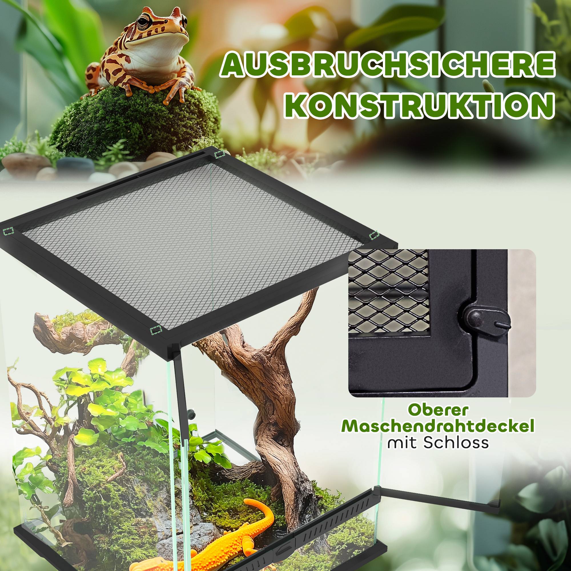 Terrarium en verre noir 45 x 45 x 60 cm - PANGIVO - Image 8