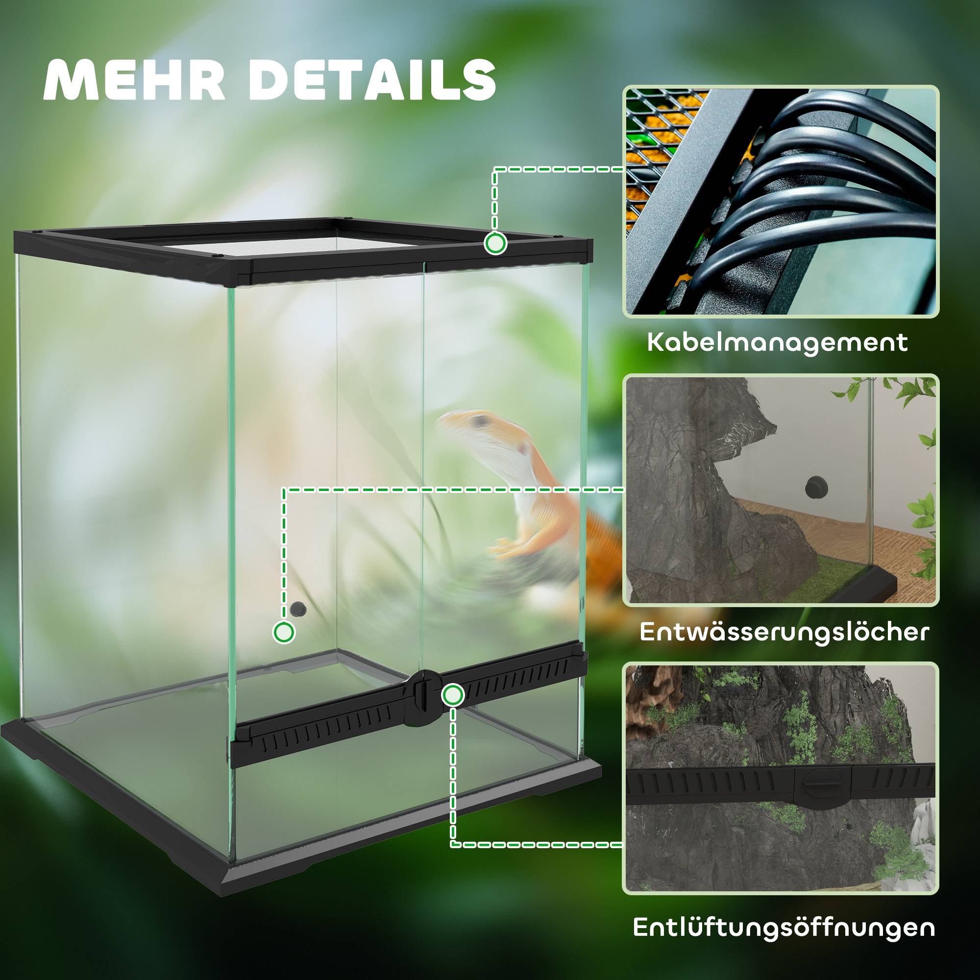 Terrarium en verre noir 45 x 45 x 60 cm - PANGIVO - Image 10