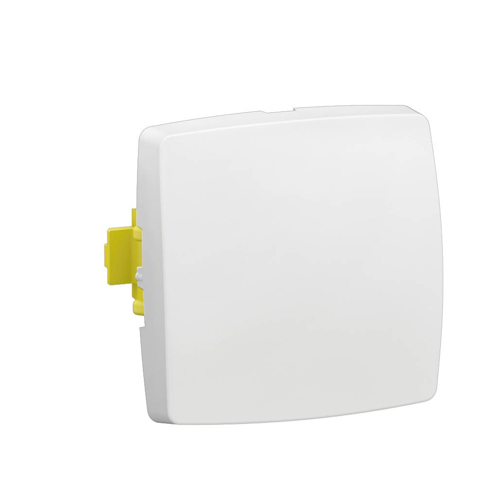 Legrand - Interrupteur va-et-vient ou bouton poussoir saillie composable - LEGRAND - 086101L - Image 1