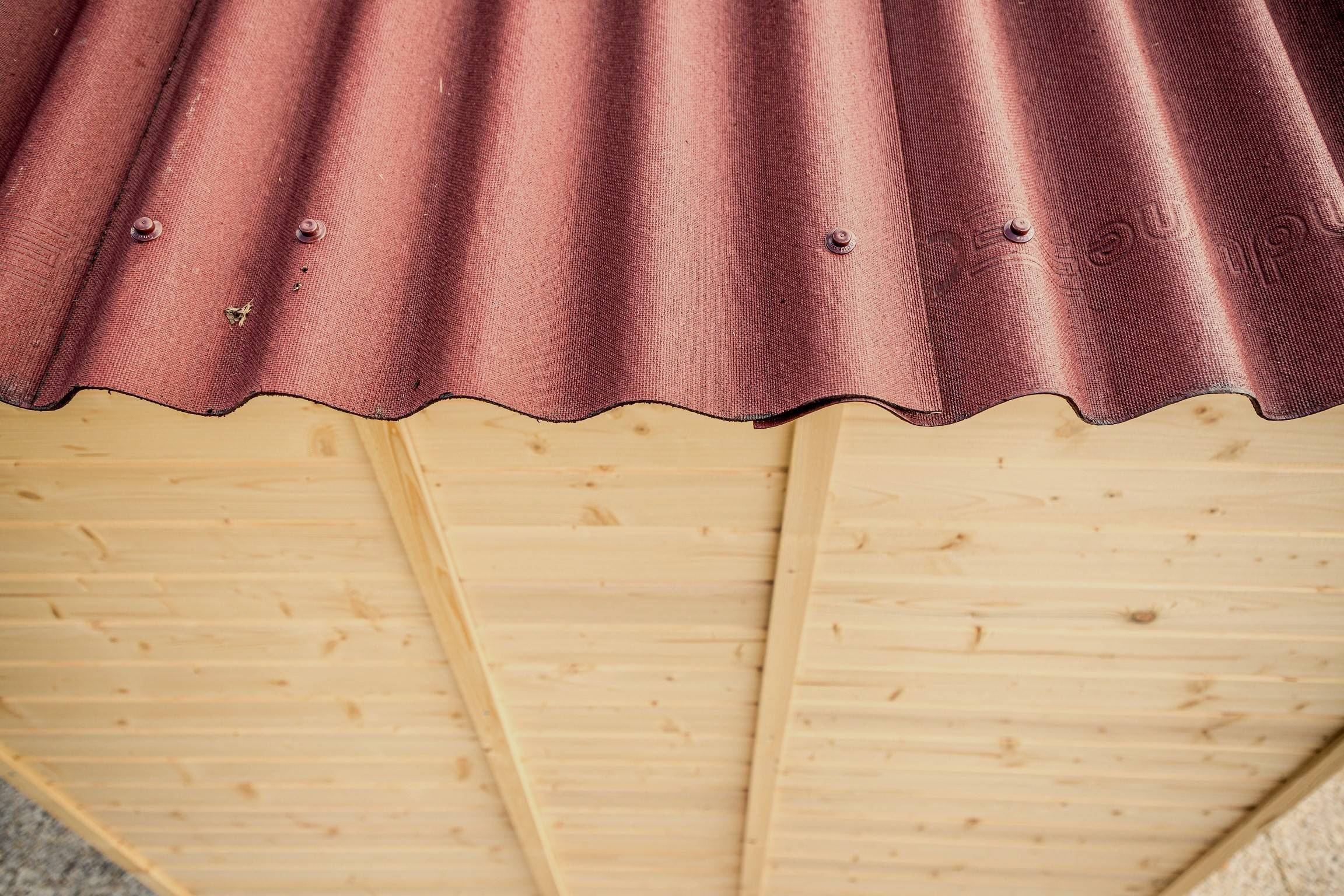 Habrita - Abri Panneau bois massif sans plancher / 16 mm / surface extérieure : 9,00 m2 / toiture plaques ondulées plus grande longévité - Imagen 6