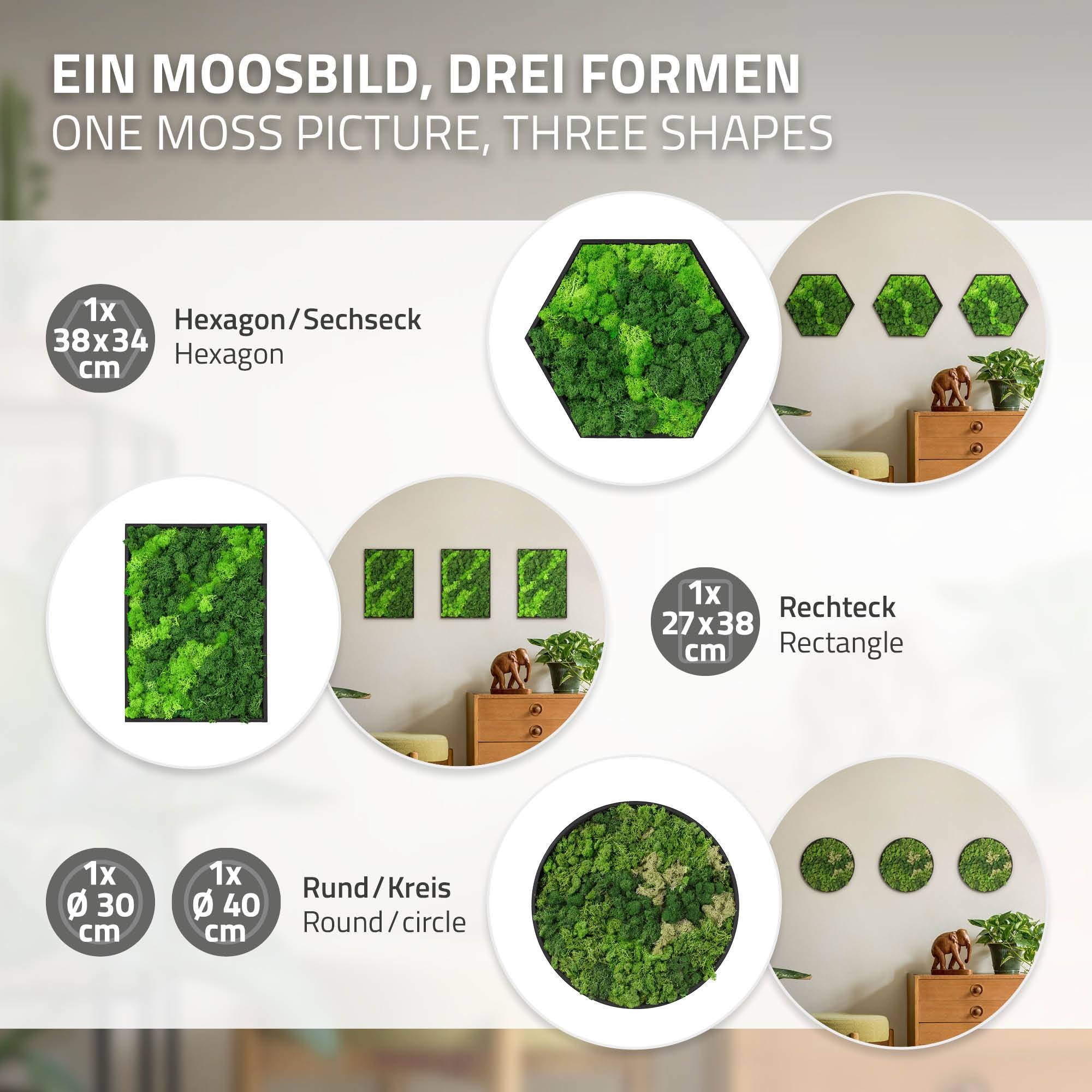 Ecd-Germany - Tableau en mousse de renne stabilisée, ronde Ø 30 cm, vert, décoration murale végétale d'intérieur, cadre en MDF, effet 3D, sans arrosage ni entretien - Image 6