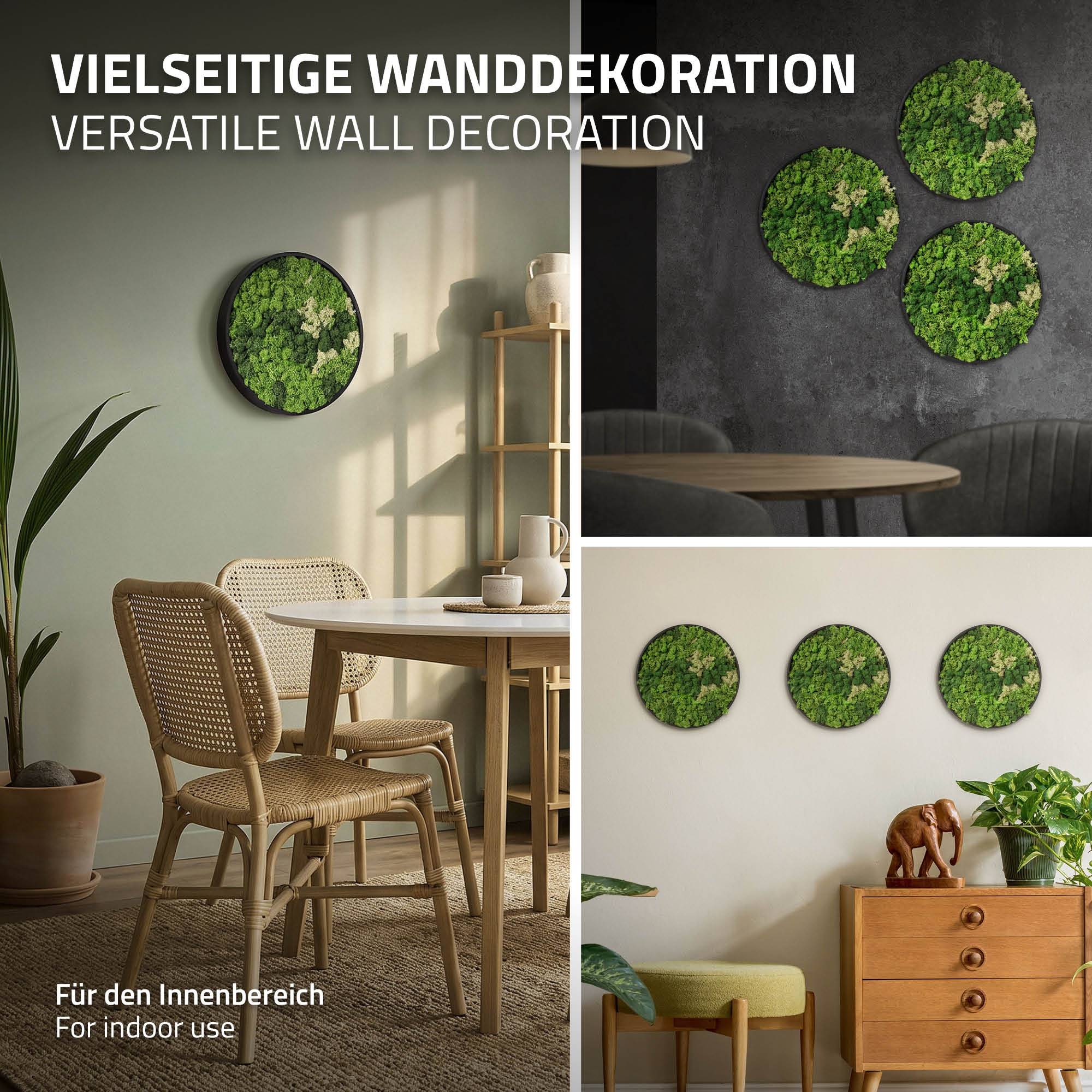 Ecd-Germany - Tableau en mousse de renne stabilisée, ronde Ø 30 cm, vert, décoration murale végétale d'intérieur, cadre en MDF, effet 3D, sans arrosage ni entretien - Image 5