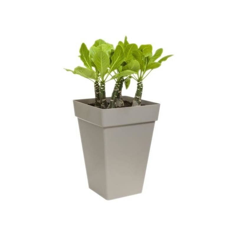Elho - Elho Bac A Plantes Carrée Haut - 37 Cm - Gris Anthracite - Image 2