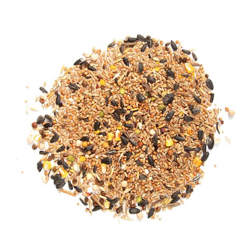 Esschert Design - Mix de graines 4 saisons 500g pour oiseaux - Esschert Design - Imagen 2