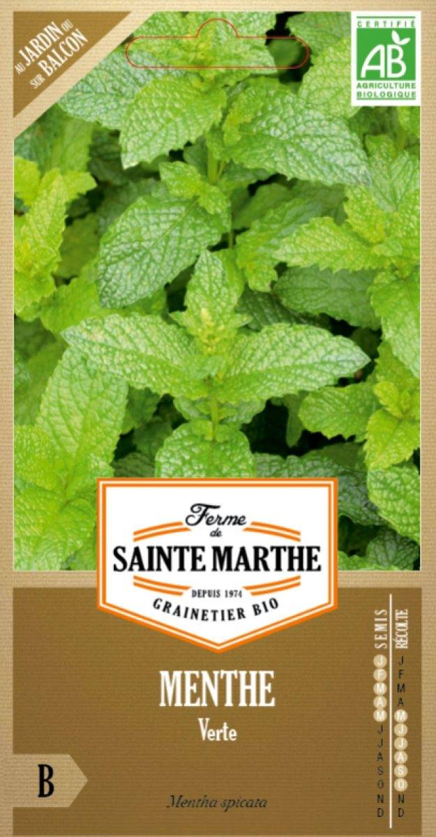 Menthe verte BIO - Mentha Spicata - Ferme de Sainte Marthe le sachet de 1500 graines environ (0,1g)